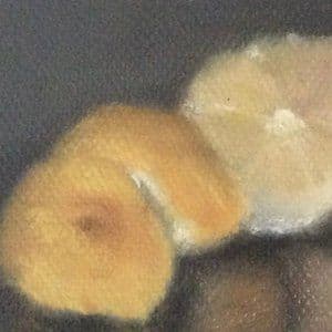 Citrons, détail d’une nature morte de Sophie Michalon