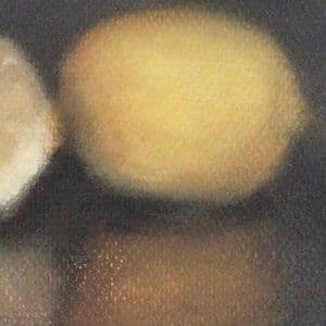Citron, détail d’une nature morte de Sophie Michalon